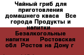 Чайный гриб для приготовления домашнего кваса - Все города Продукты и напитки » Безалкогольные напитки   . Ростовская обл.,Ростов-на-Дону г.